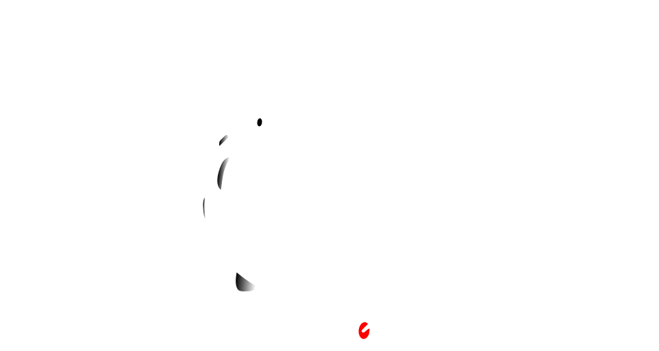 Logo The Gyroplane Revolution